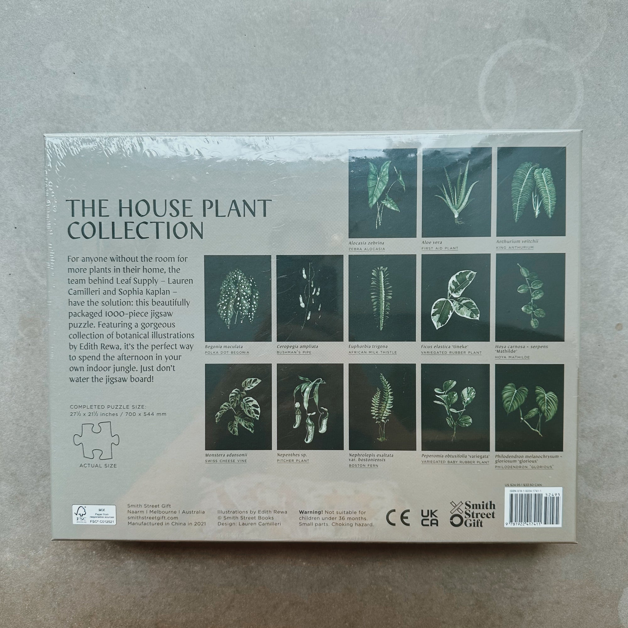 House plant puzzle