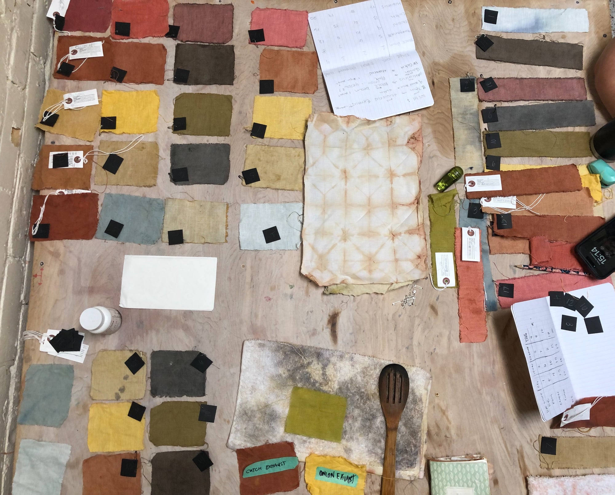 Intensive Natural Dye Workshop ~ October 12th