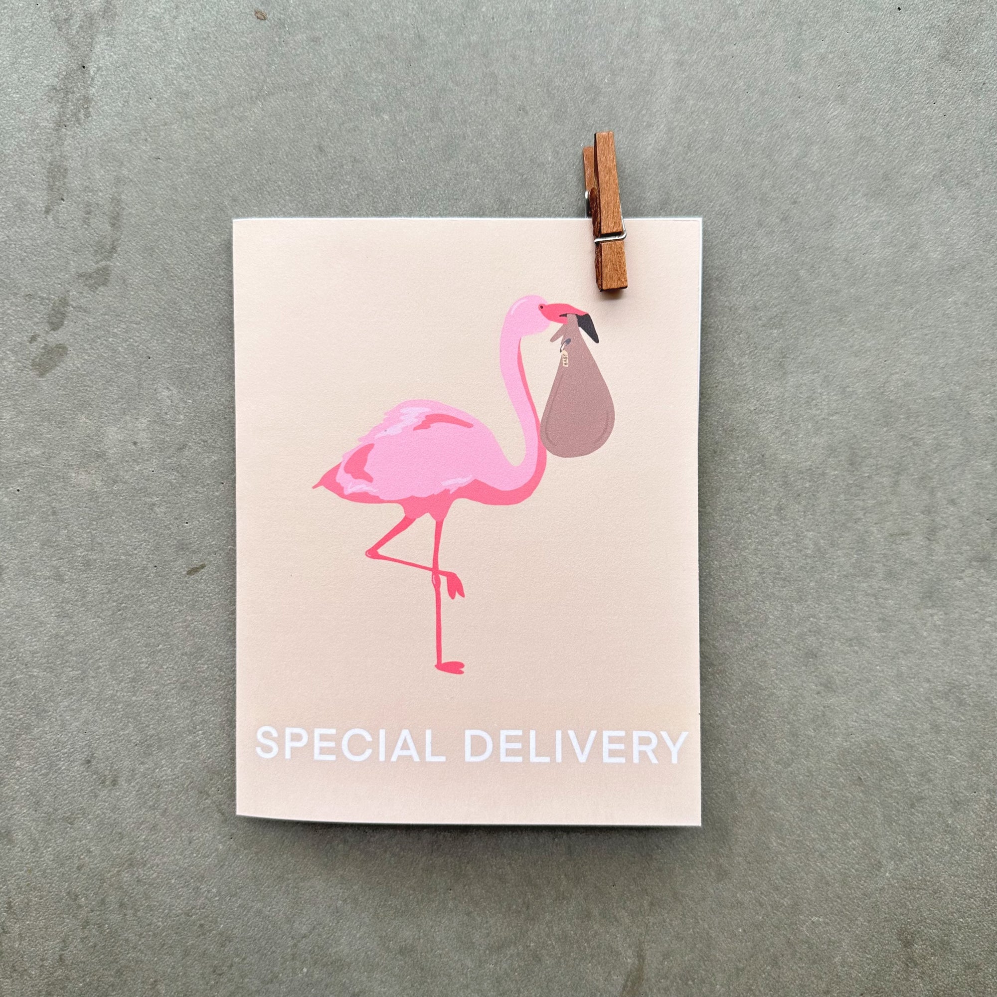 Flamingo Baby Notecard