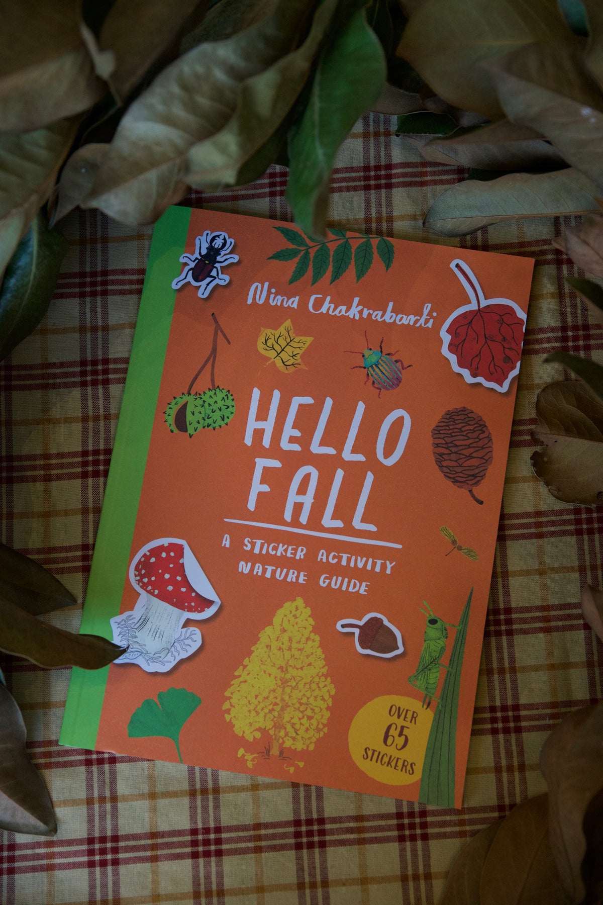 Hello Fall