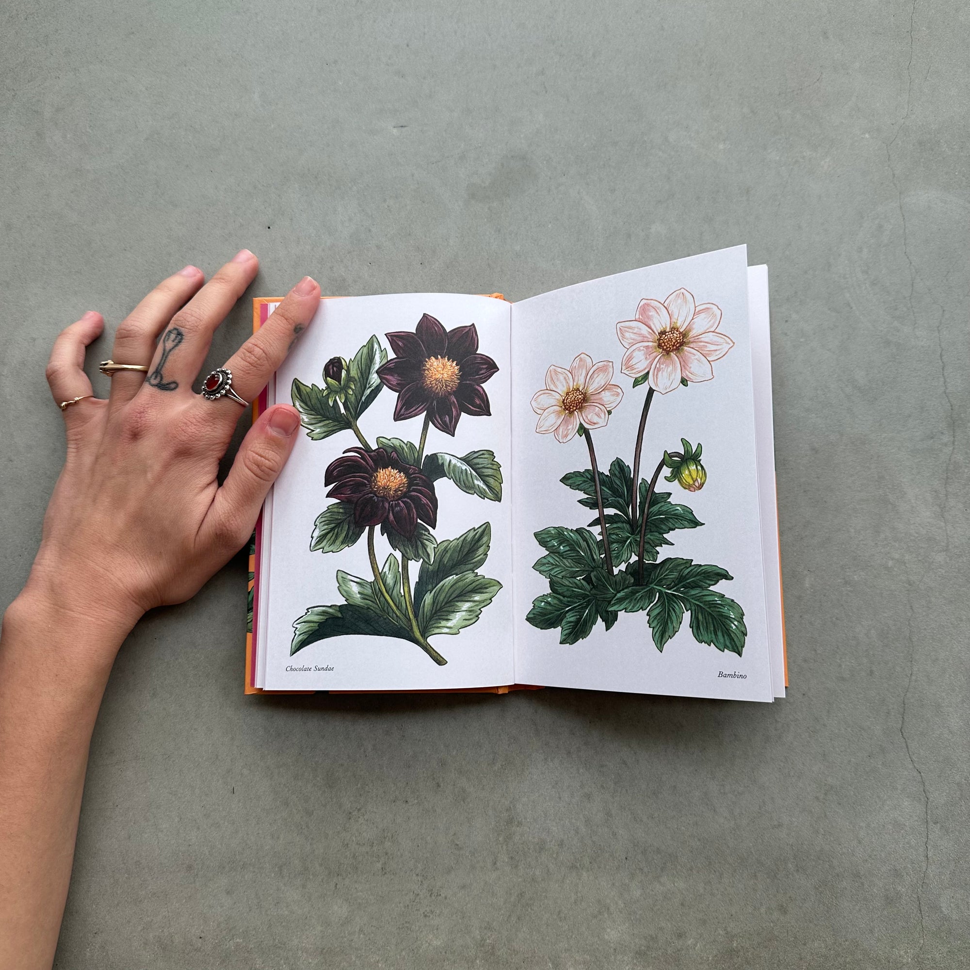 Flower book