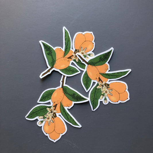 Kumquat sticker