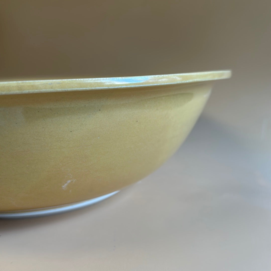 Serving Bowl with lip